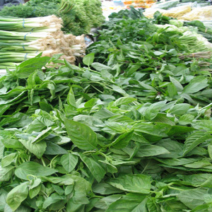 Thumbnail image for Herbs.jpg