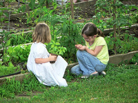children garden.jpg