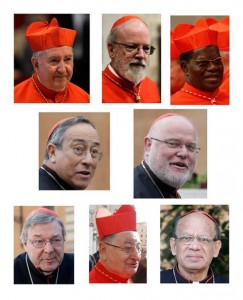 Council of Cardinals 2013