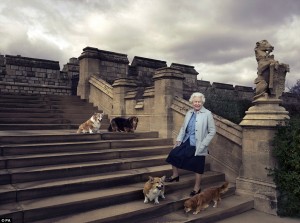 Queen Elizabth and her dogs